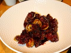 -羲和雅苑•北京烤鸭(国贸商城店)
