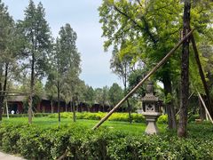 -洛阳白马寺