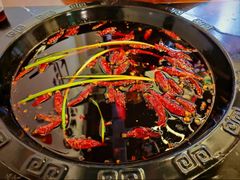 -重庆川渝肥妹火锅