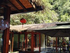 -小小饭店·休闲农庄·安吉松树林里的农家菜