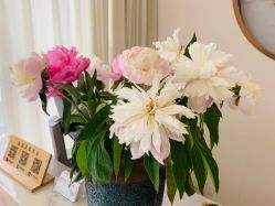 -慈蕊美容养生·专业经络调理