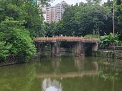 -晓港公园
