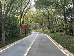 -新洲生态园
