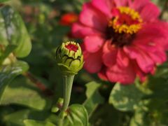 -永定河休闲森林公园