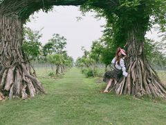 -上海海湾国家森林公园