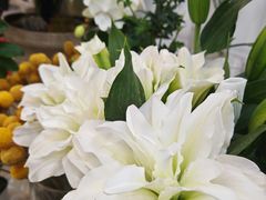 -淘花源花艺鲜花店 开业花篮 绿植(南部商务区店)