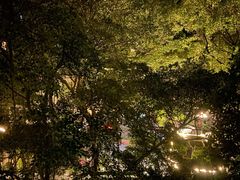 -广州市第一人民医院(院本部)