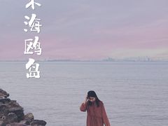 -海鸥岛