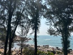 -广东惠东海龟国家级自然保护区