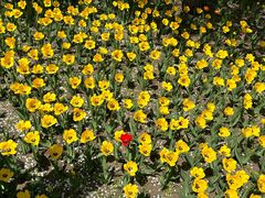 -长春公园(普阳街道)