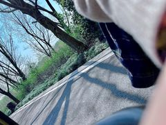 -同里国家湿地公园