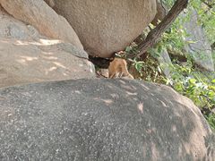 -天津盘山风景名胜区