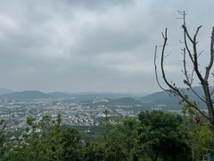 -苏州太湖国家湿地公园