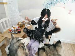 -李小姐の猫咖啡馆(五角场店)