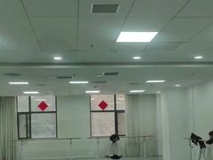 -西安小天鹅艺术团(金花路校区)