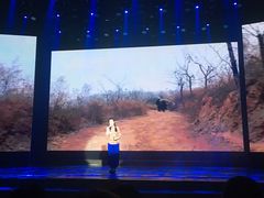 -陕北民歌大舞台