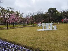 -新江湾城公园