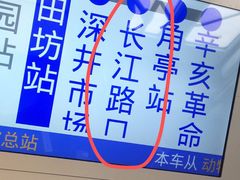-姚林轩