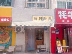 -椿树咖啡