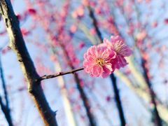 -滨湖塘西河公园