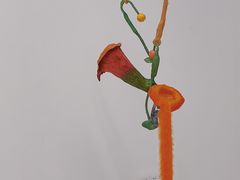 -胶囊画廊
