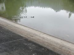 -滴水岩森林公园