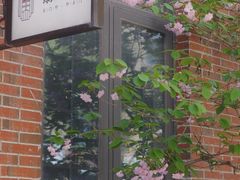 -绿地·中山里