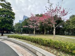 -文华公园(禅城区)