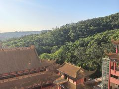 -东莞市大岭山森林公园