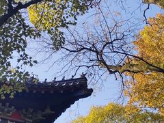 -灵谷景区