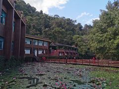 -野象谷景区