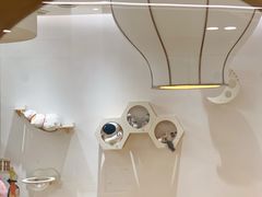 -1013 PET SHOP精品宠物商店(丁香店)