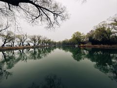 -颐和园