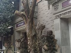 -龙潭水乡