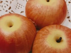 -大鸭梨烤鸭店(金顶街店)