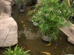 -滕头生态酒店(奉化店)