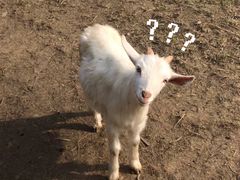 -长兴太湖图影湿地文化园