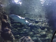 -南昌海洋公园