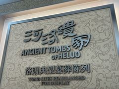 -洛阳古墓博物馆