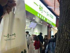 -一树一叶·福建茶档(石鼓路店)