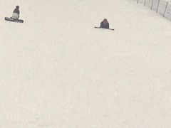 -哈尔滨热雪奇迹