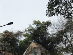 -广州市白云山风景名胜区