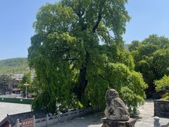 -报恩寺(平武县)