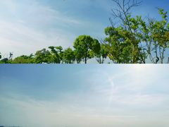 -漕湖湿地公园