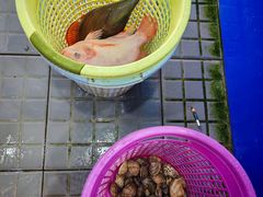 -小海豚•老字号海鲜餐厅(天涯店)