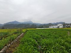-绩溪龙川景区