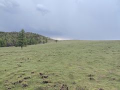 -芦芽山旅游度假区