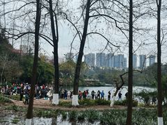 -重庆彩云湖湿地公园