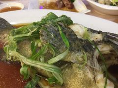 清蒸石斑鱼-好彩海鲜酒家(帝国中心店)