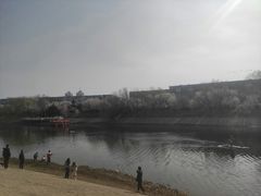 -桃花堤公园